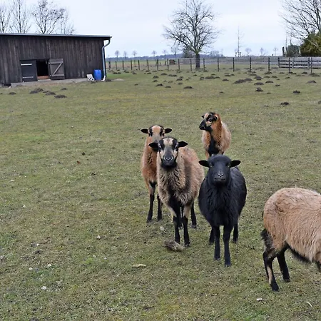 홈스테이 Auf Ruegen