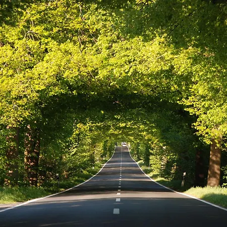 홈스테이 Auf Ruegen *